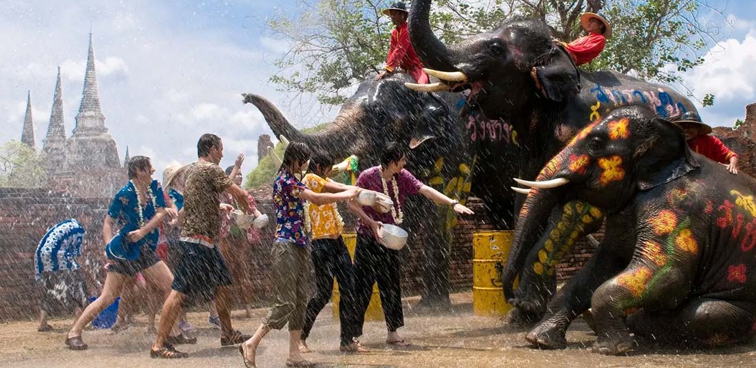 جشنواره مسابقه بوفالو
